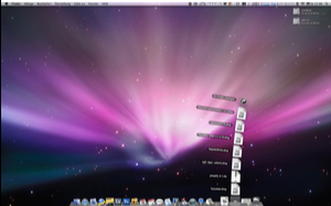 Leopard Desktop mit Stacks